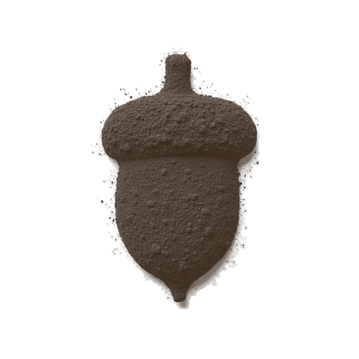 Acorn, drawn in coffee grounds