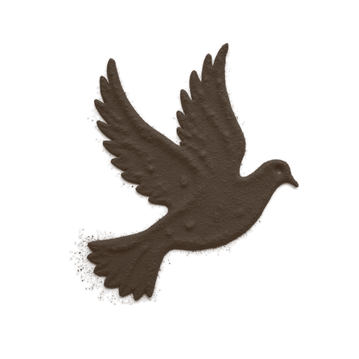 Dove, drawn in coffee grounds